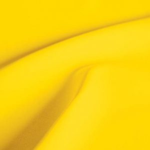 mimosa-bright-yellow-swatch
