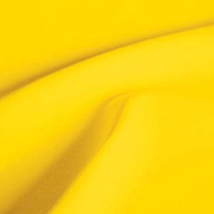 mimosa-bright-yellow-swatch