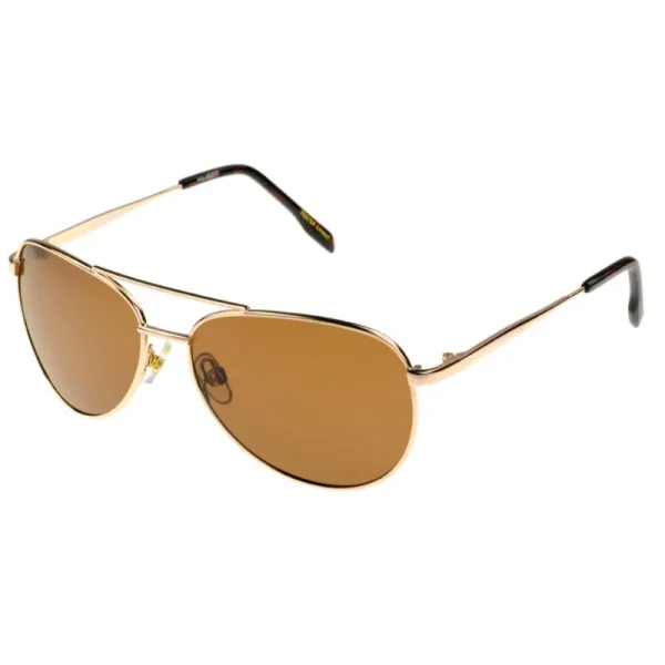 foster-grant-sunglasses-SFGP23166side__77786